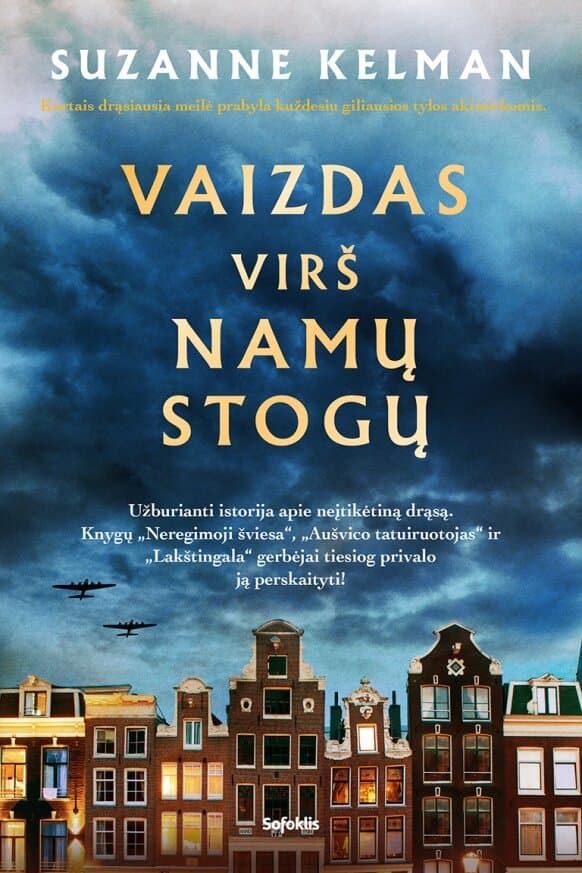 Vaizdas virš namų stogų cover