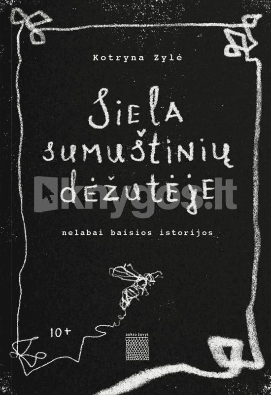 Siela sumuštinių dėžutėje cover
