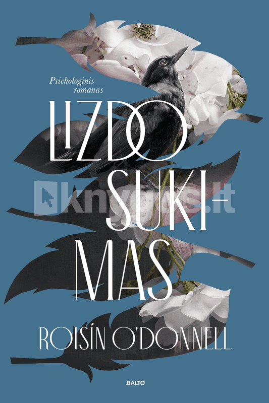 Lizdo sukimas cover