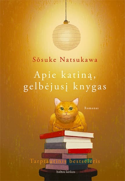 Apie katiną cover