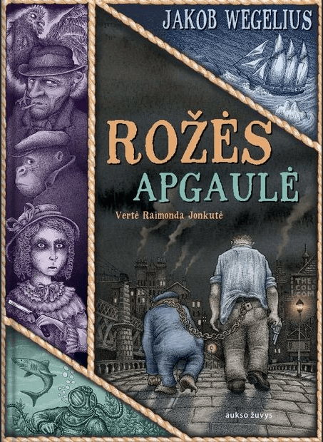 Rožės apgaulė cover