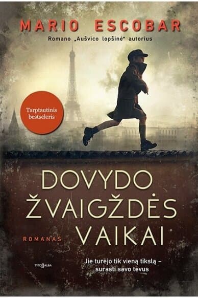 Dovydo žvaigždės vaikai cover