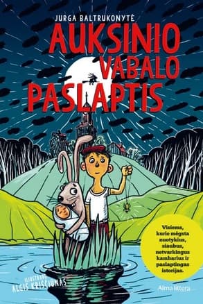 Auksinio vabalo paslaptis cover