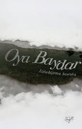 Izgubljena beseda