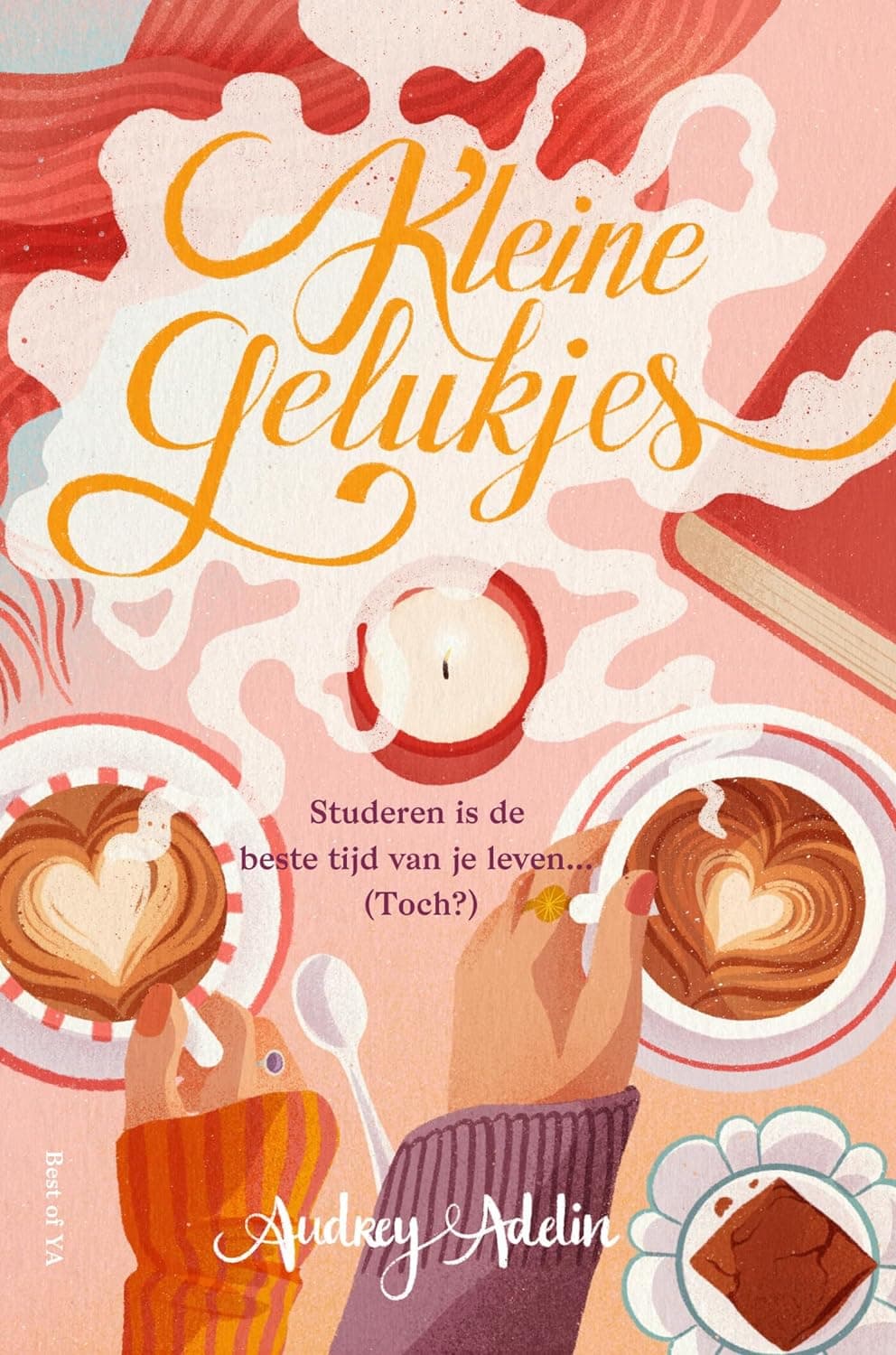 Kleine gelukjes cover