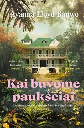 Kai buvome paukščiai cover