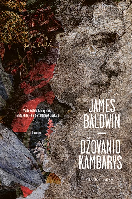 Džovanio kambarys cover