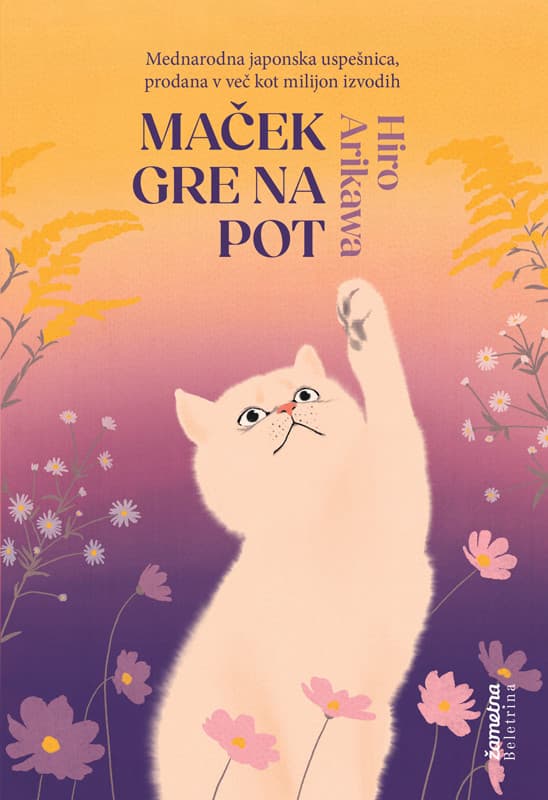 Maček gre na pot cover