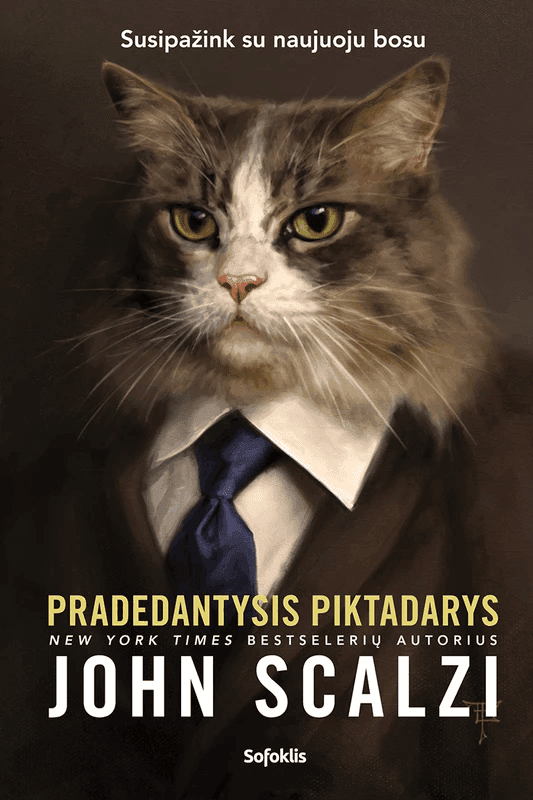 Pradedantysis piktadarys cover