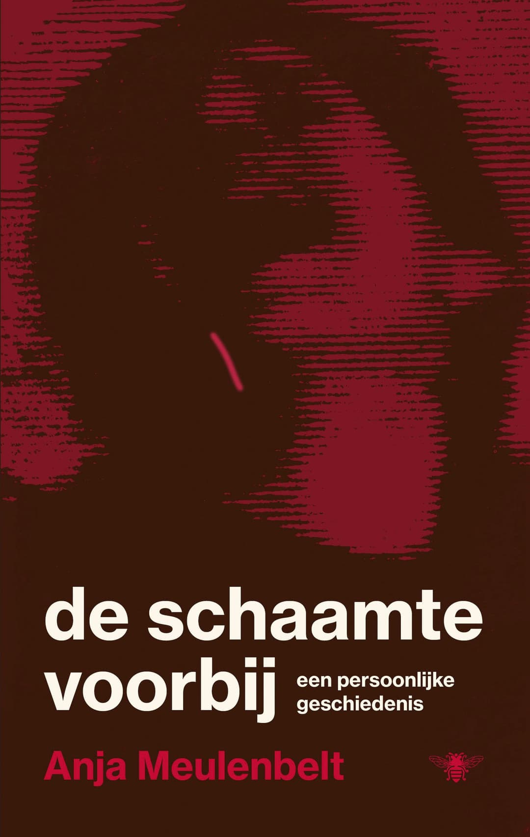 De schaamte voorbij