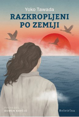 Razkropljeni po zemlji cover