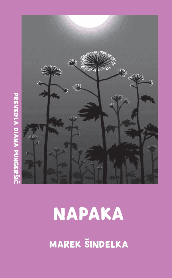 Napaka cover