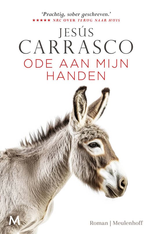 Ode aan mijn handen
