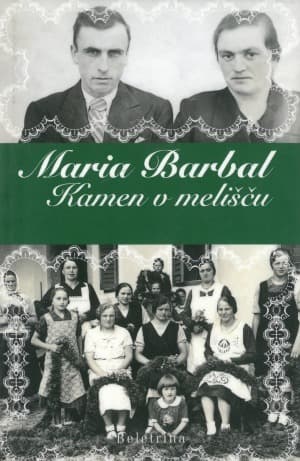 Kamen v melišču
