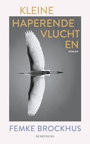 Kleine haperende vluchten roman cover