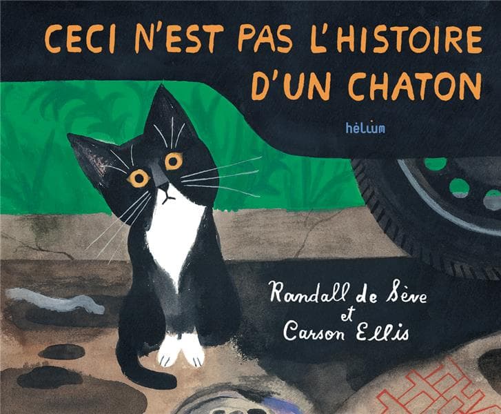 Ceci n'est pas l'histoire d'un chaton cover