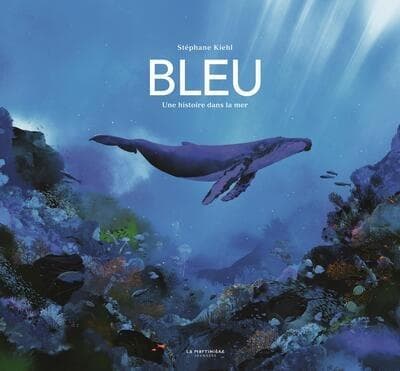 blue cover