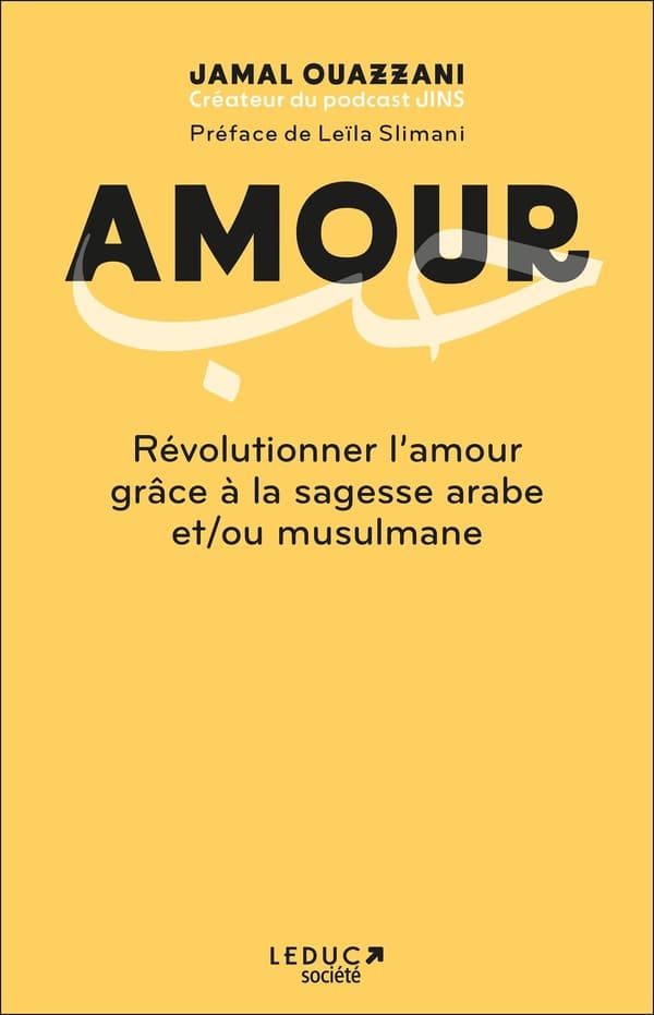 Ammour R cover