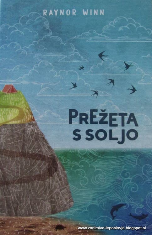 Prežeta s soljo cover