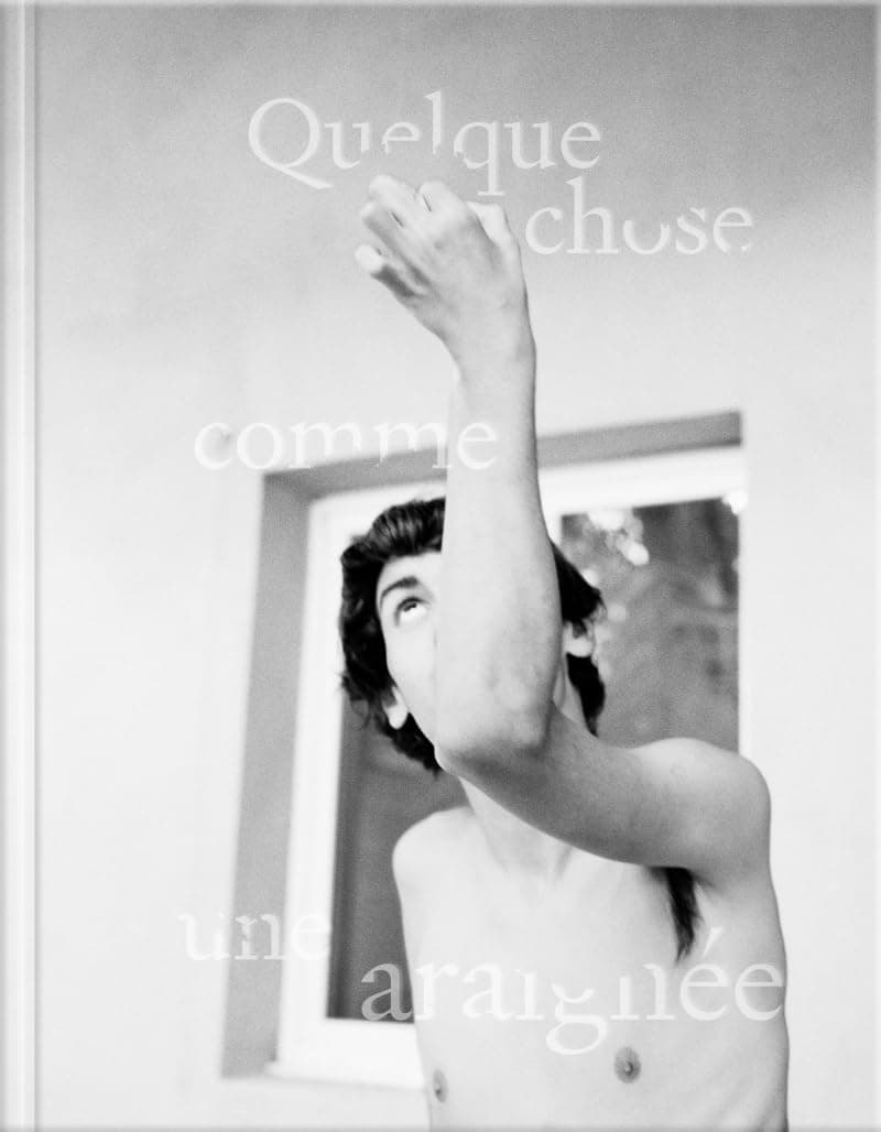 Quelque chose comme une araignée cover