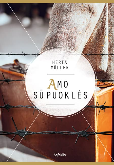 Amo sūpuoklės cover