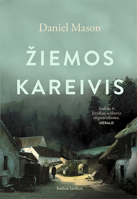 Žiemos kareivis