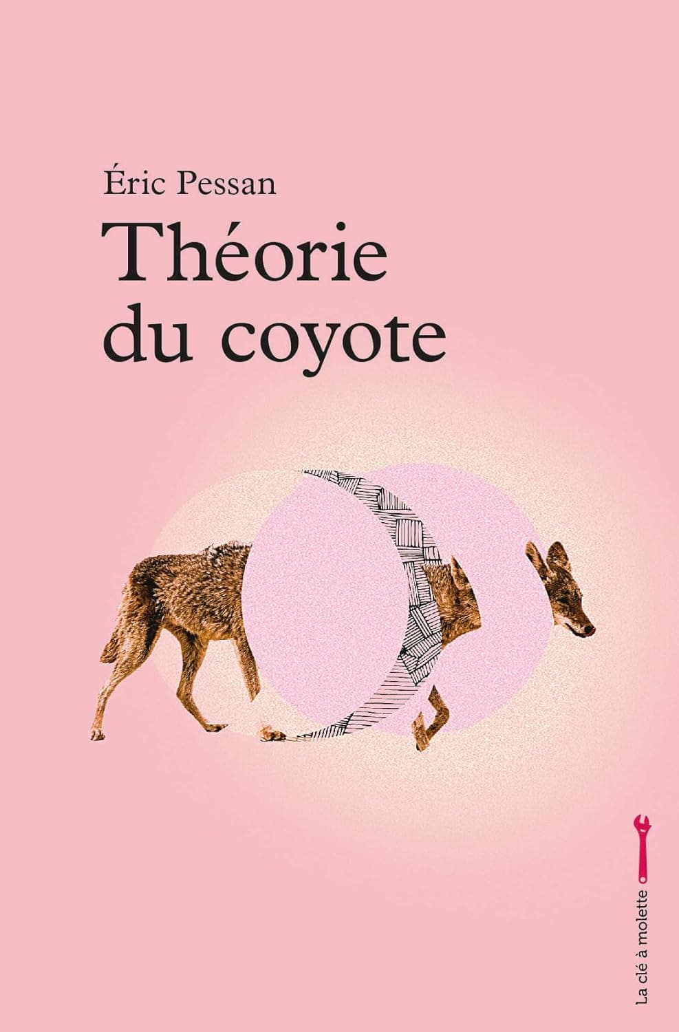 Théorie du coyote cover