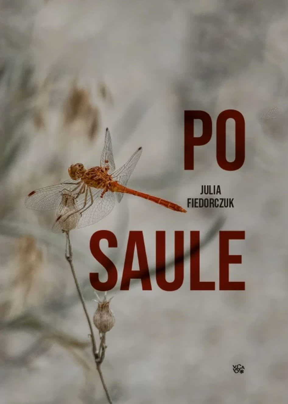 Po saule cover