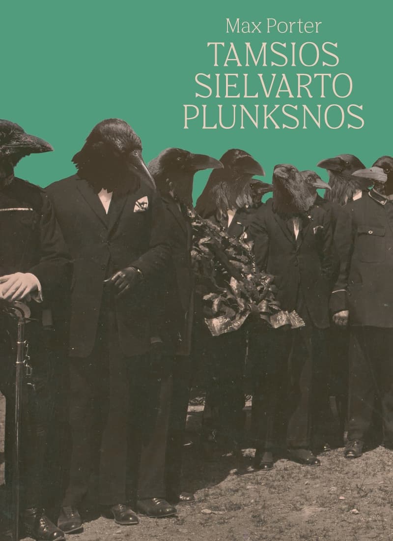 Tamsios sielvarto plunksnos