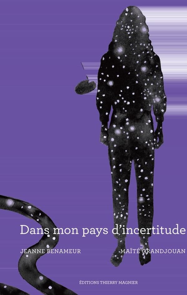 Dans mon pays d'incertitude cover
