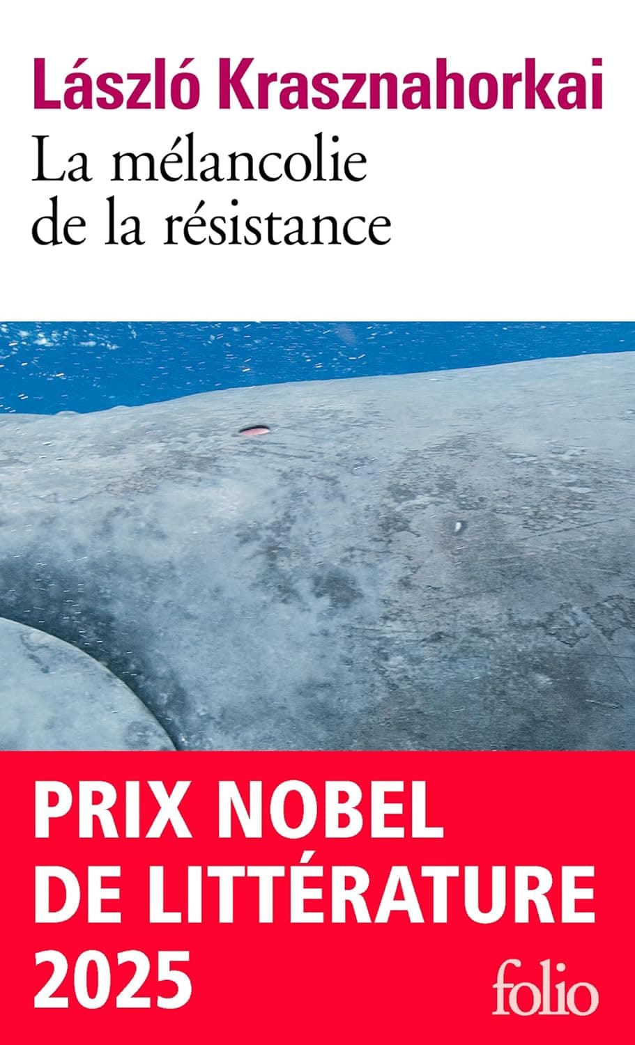 La mélancolie de la résistance