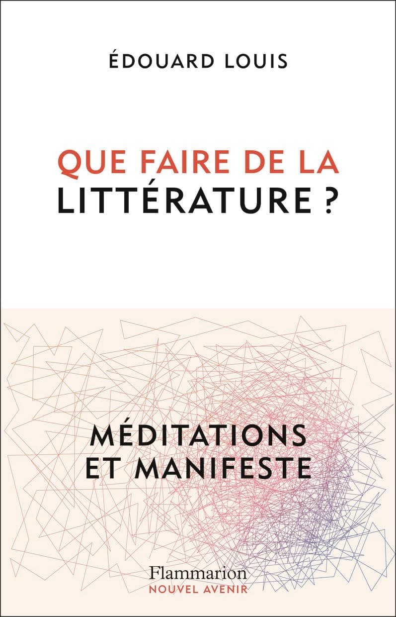 Que faire de la littérature ? cover