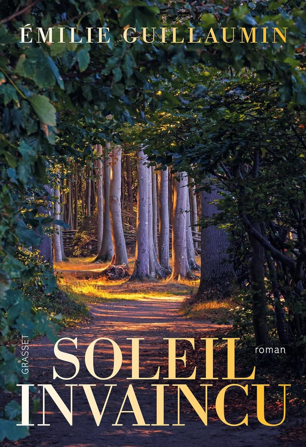Soleil invaincu cover