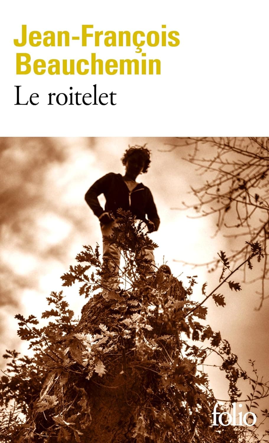 Le roitelet cover