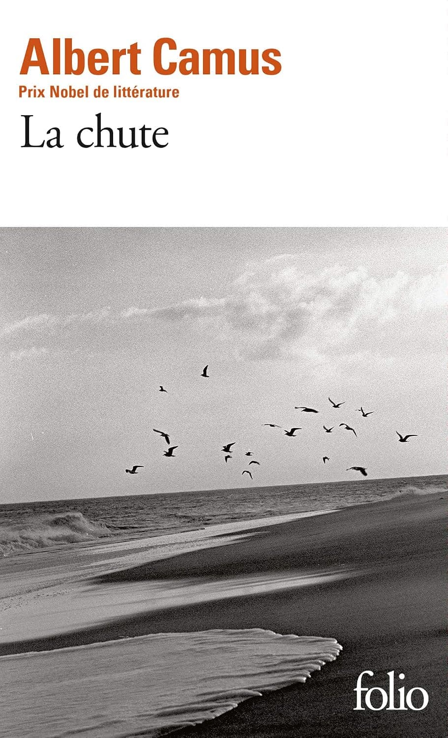 Couverture de La Chute