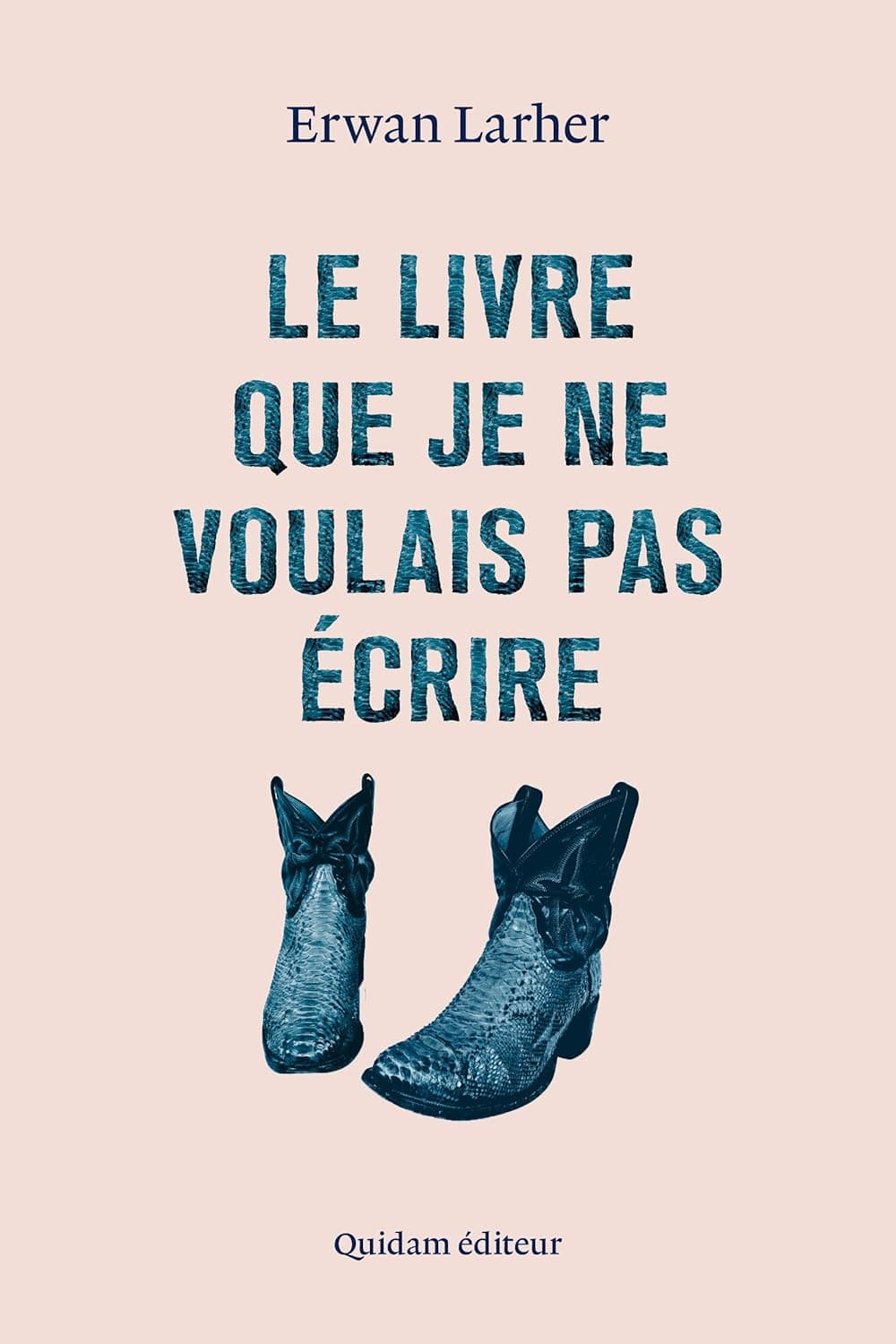 Le livre que je ne voulais pas écrire cover