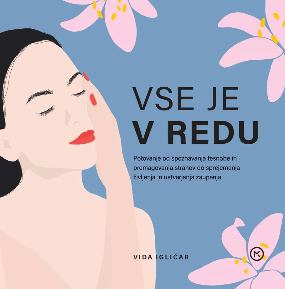 Vse je v redu cover