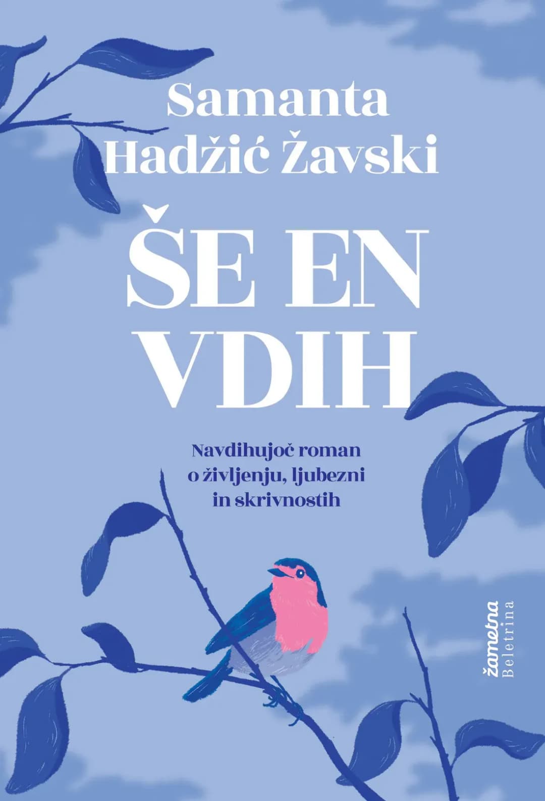 ŠE EN VDIH cover