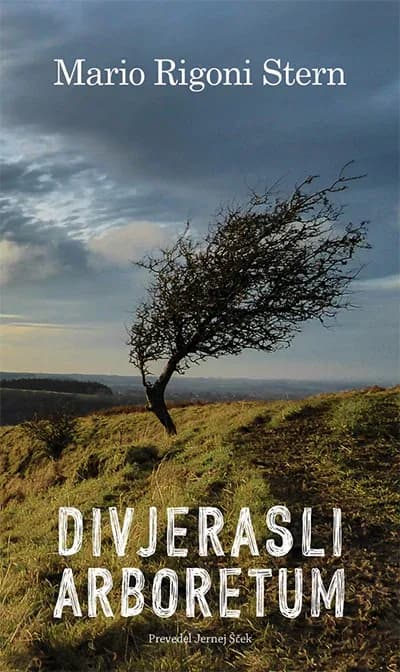 DIVJERASLI ARBORETUM cover