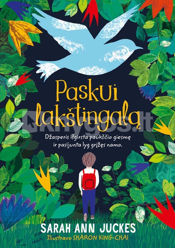Paskui lakštingalą cover