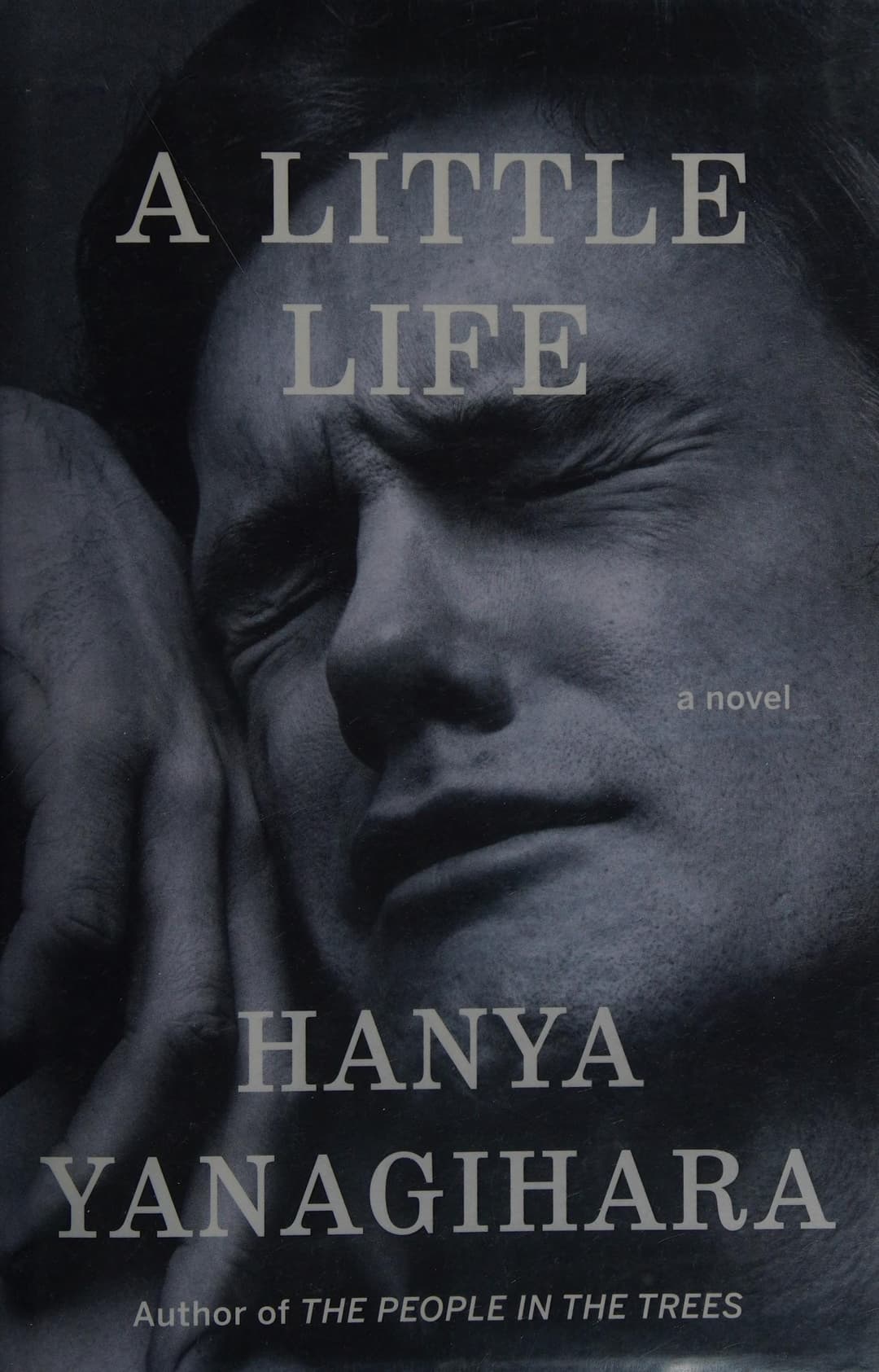 Couverture de A Little Life