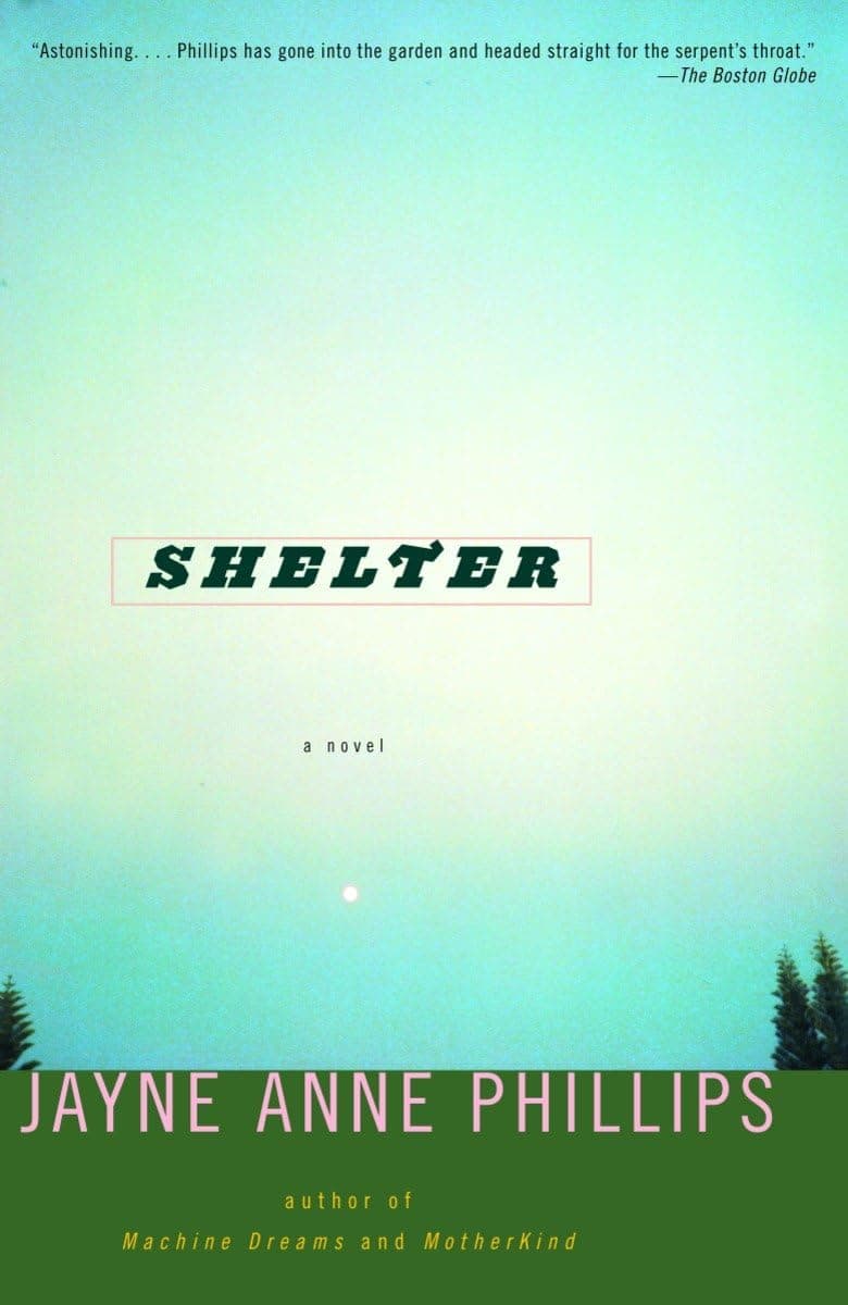Couverture de Shelter: a novel