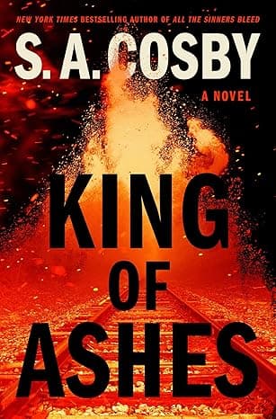 Couverture de King of ashes: A novel