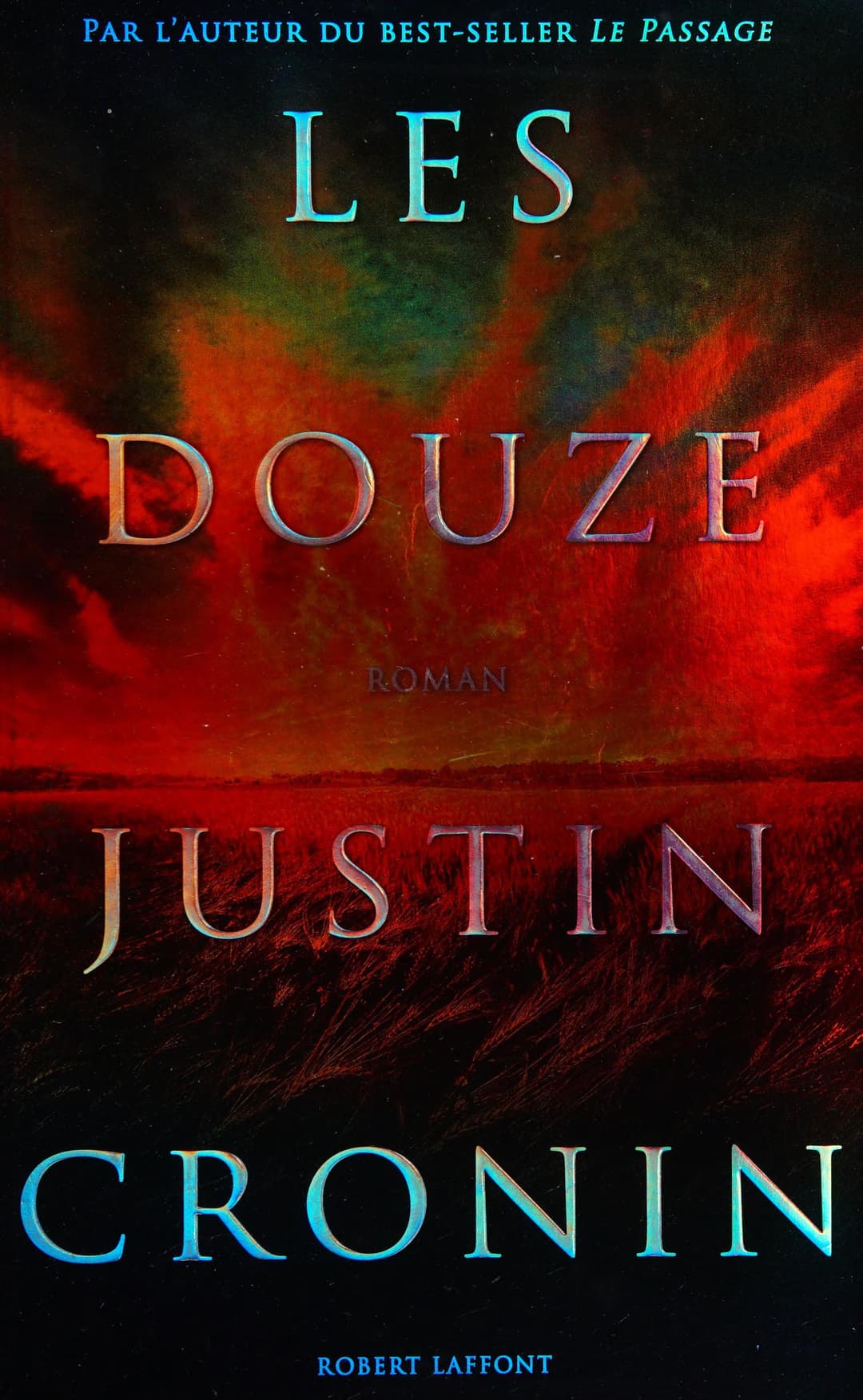 Couverture de Les douze roman: roman