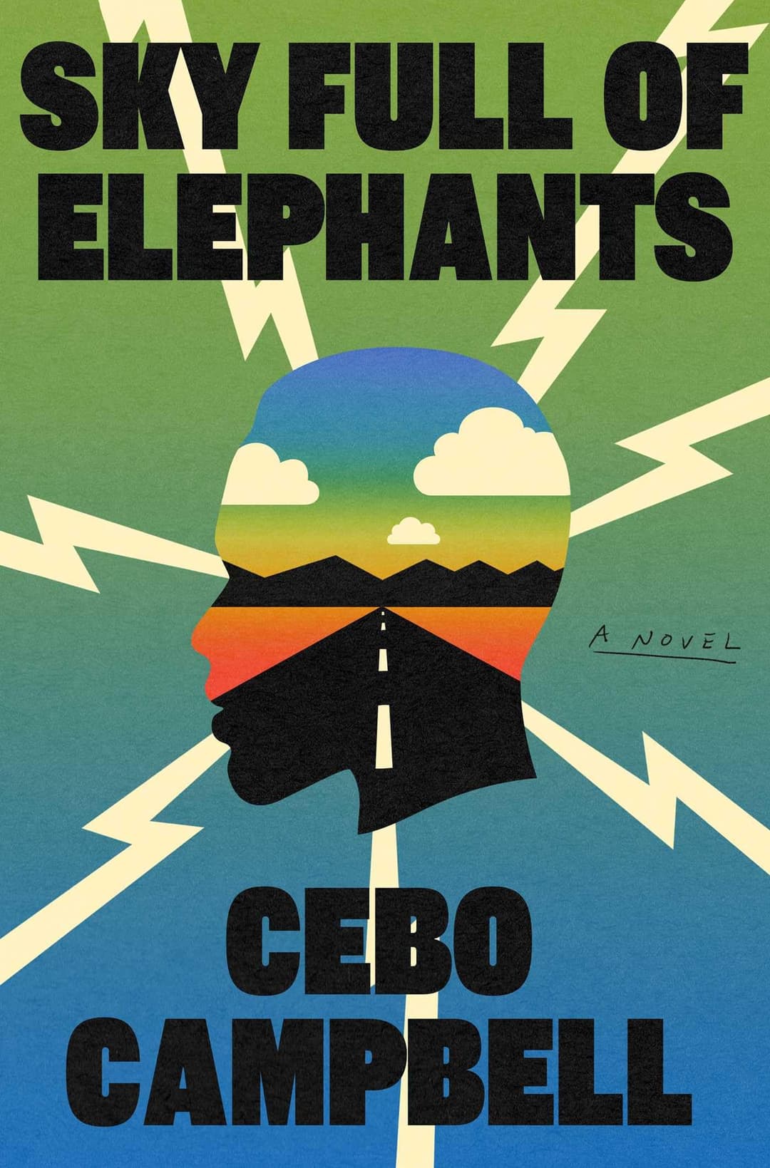 Couverture de Sky Full of Elephants A Novel