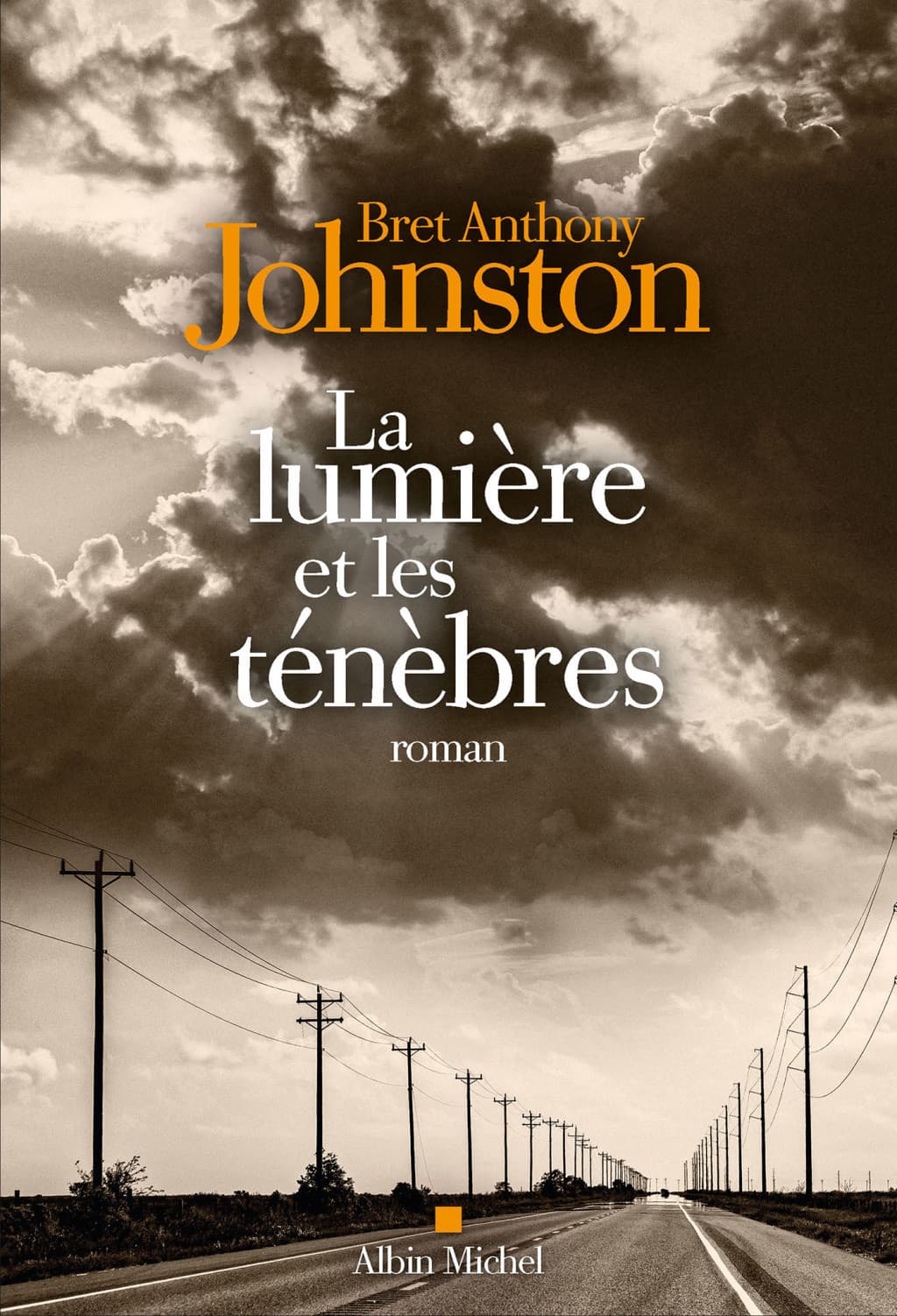 Couverture de La Lumière et les ténèbres
