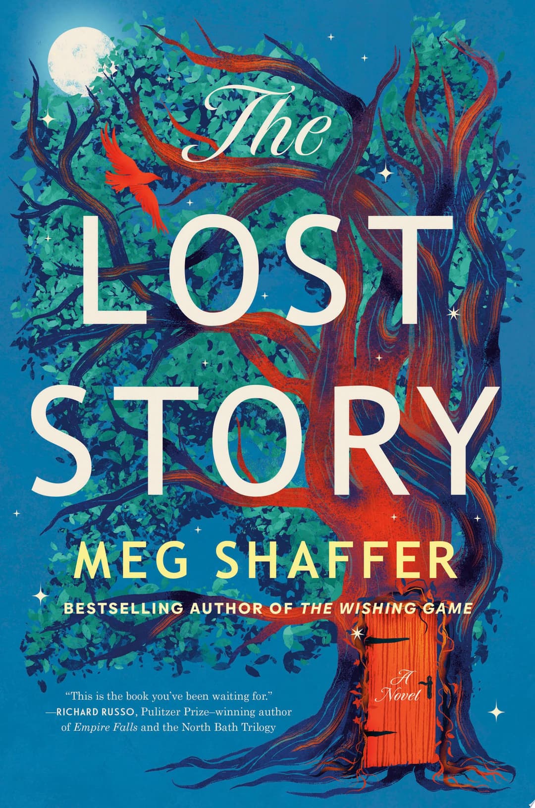 Couverture de The Lost Story A Novel
