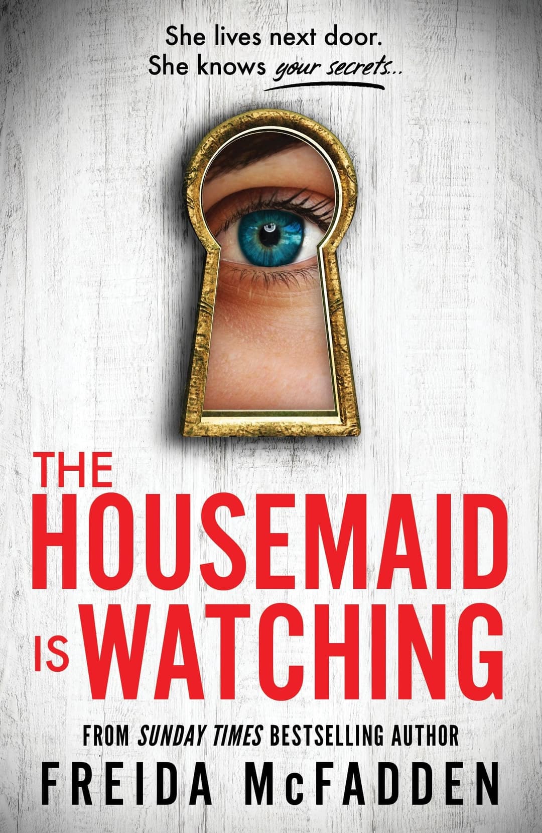 Couverture de The Housemaid is Watching