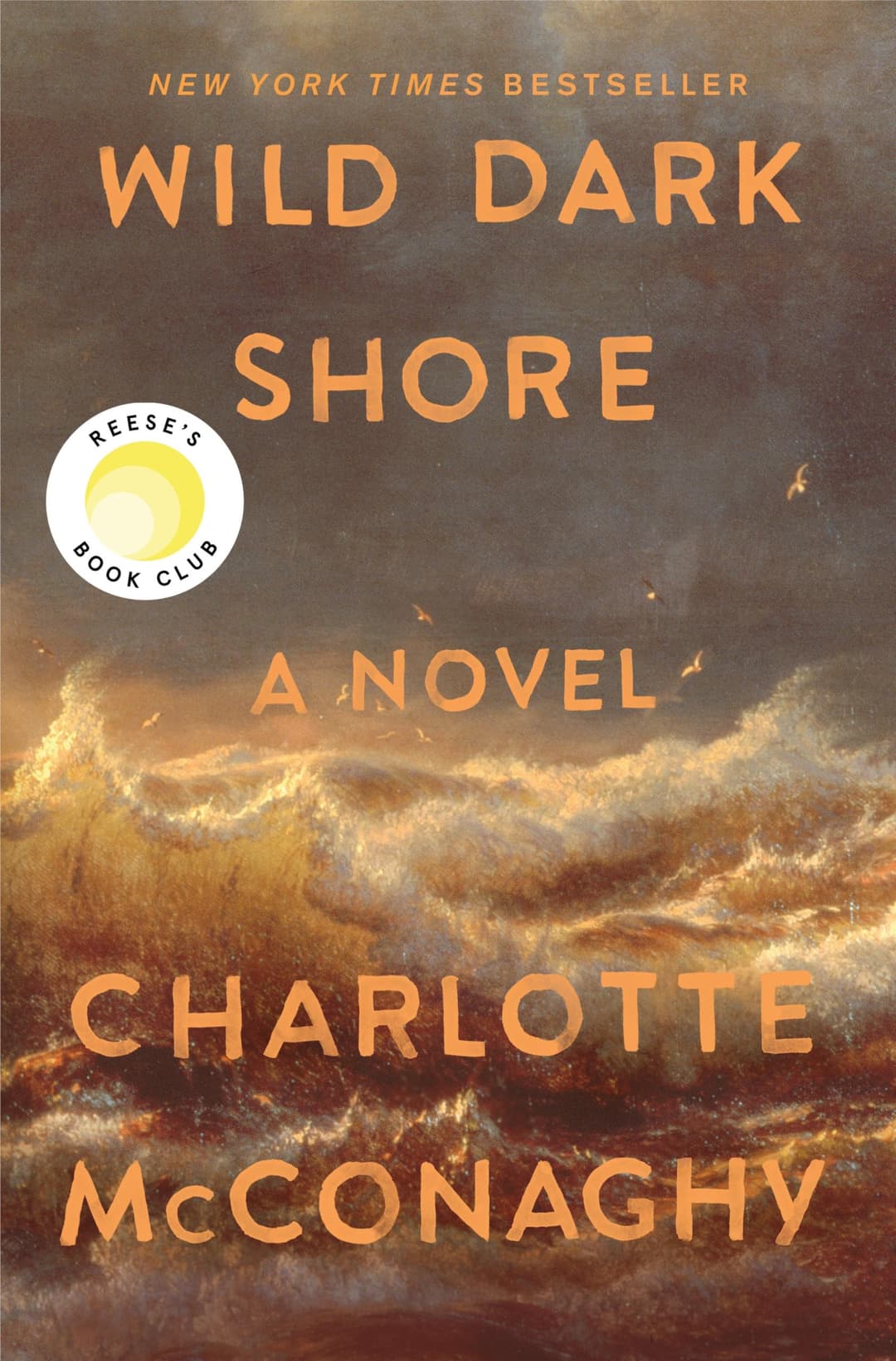Couverture de Wild Dark Shore: Reese's Book Club Pick (A Novel)