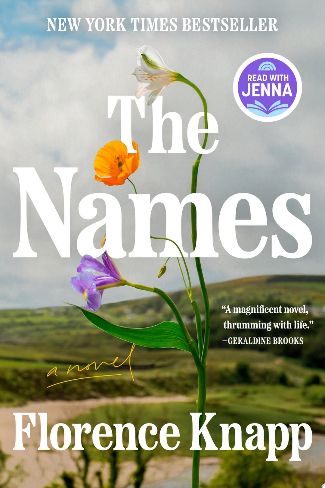 Couverture de The Names: A Read with Jenna Pick A Novel